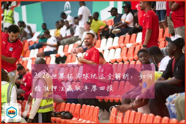 2026世界杯买球玩法全解析，如何精准押注赢取丰厚回报