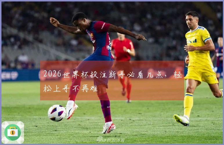 2026世界杯投注新手必看几点，轻松上手不再难
