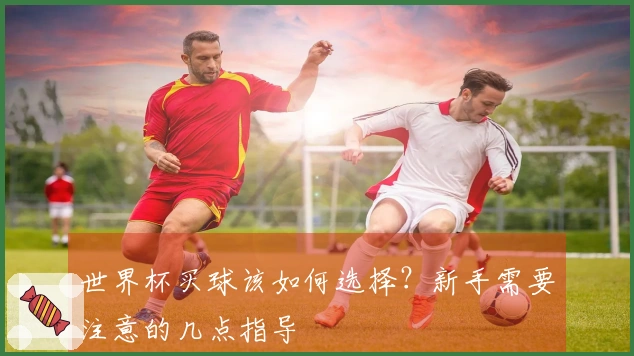 世界杯买球该如何选择？新手需要注意的几点指导