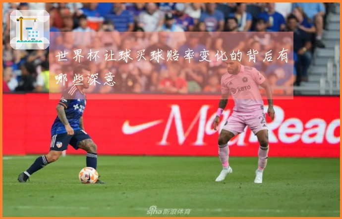 世界杯让球买球赔率变化的背后有哪些深意