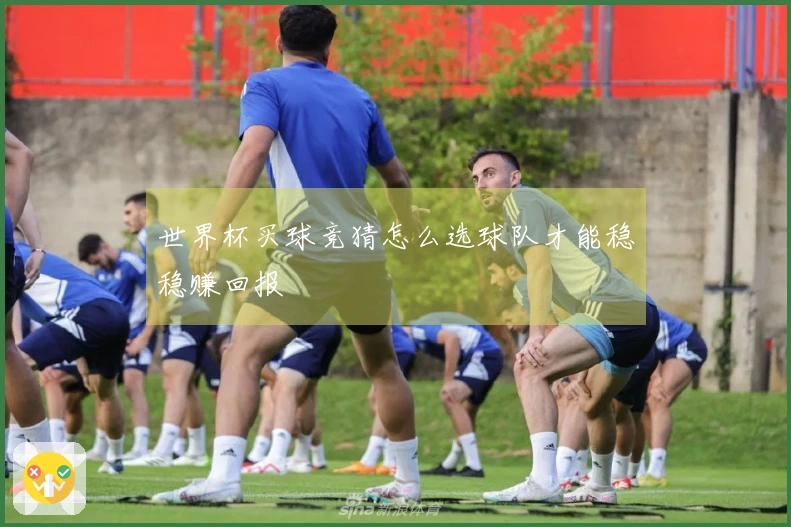 世界杯买球竞猜怎么选球队才能稳稳赚回报