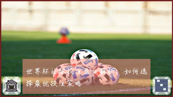世界杯让球投注盘口解析：如何选择最优投注策略