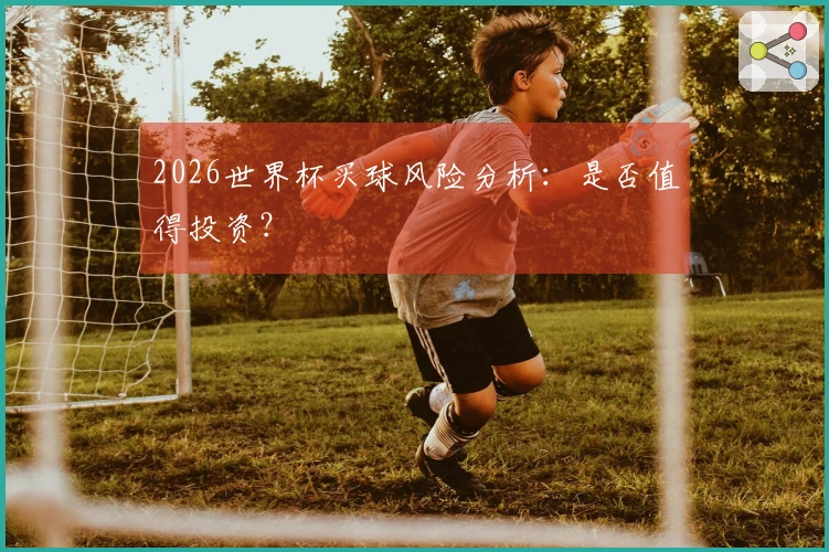 2026世界杯买球风险分析：是否值得投资？