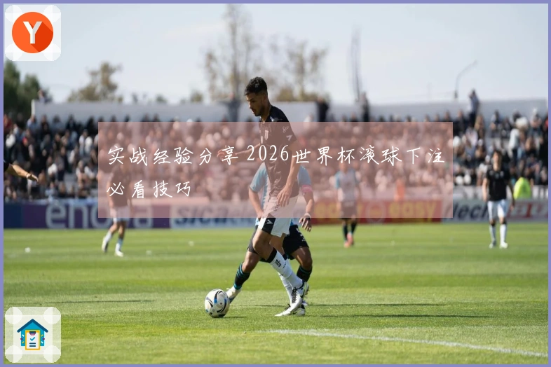 实战经验分享 2026世界杯滚球下注必看技巧