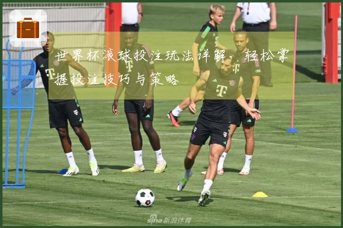世界杯滚球投注玩法详解，轻松掌握投注技巧与策略