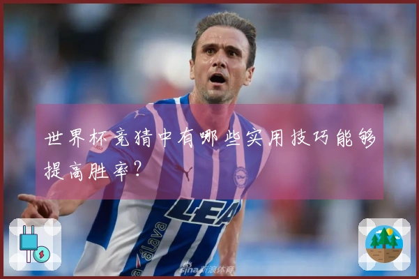 世界杯竞猜中有哪些实用技巧能够提高胜率？