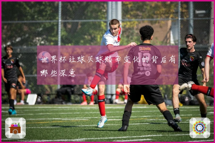 世界杯让球买球赔率变化的背后有哪些深意