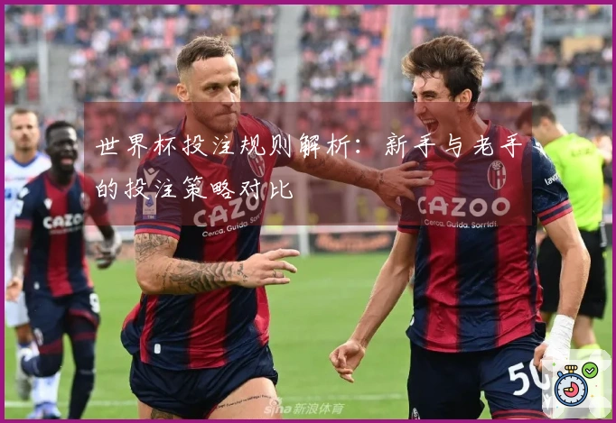 世界杯投注规则解析:新手与老手的投注策略对比