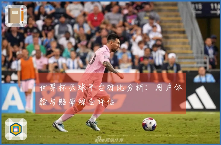 世界杯买球平台对比分析：用户体验与赔率综合评估