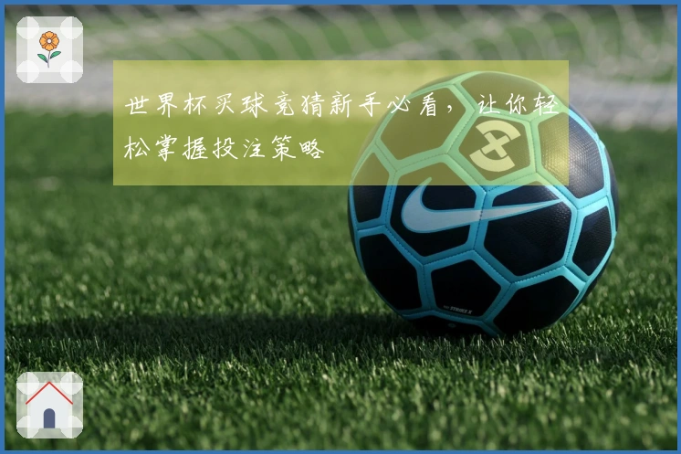 世界杯买球竞猜新手必看，让你轻松掌握投注策略