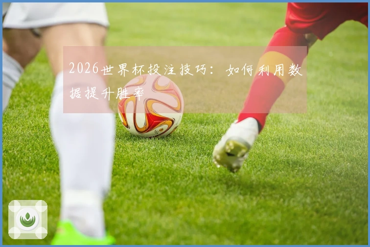 2026世界杯投注技巧：如何利用数据提升胜率